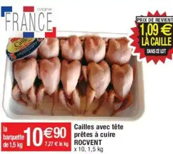 Cailles avec tête prêtes à cuire