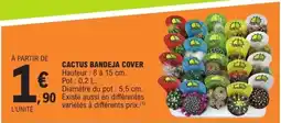E.Leclerc CACTUS BANDEJA COVER offre