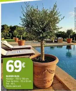 E.Leclerc OLIVIER OLEA offre