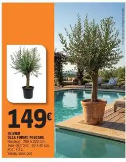 E.Leclerc OLIVIER OLEA FORME TOSCANE offre