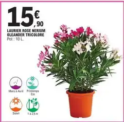 E.Leclerc LAURIER ROSE NERIUM OLEANDER TRICOLORE offre