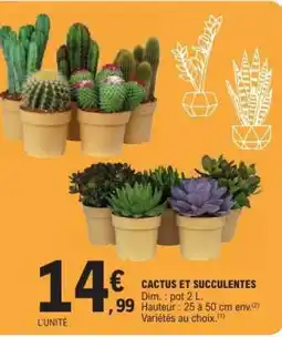 E.Leclerc Cactus Et Succulentes offre