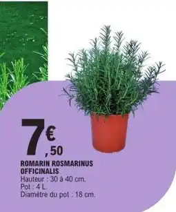 E.Leclerc ROMARIN ROSMARINUS OFFICINALIS offre