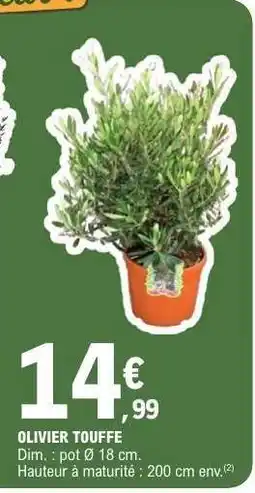 E.Leclerc OLIVIER TOUFFE offre