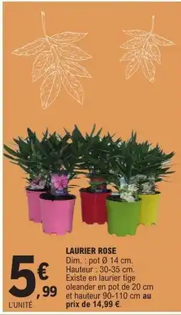 E.Leclerc Laurier rose offre
