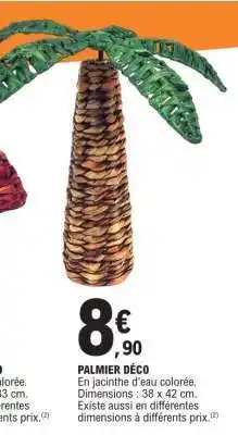 E.Leclerc PALMIER DÉCO offre