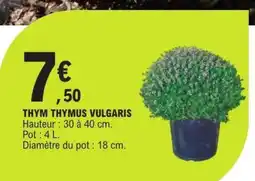 E.Leclerc THYM THYMUS VULGARIS offre