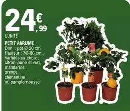 E.Leclerc PETIT AGRUME offre