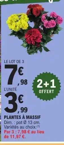 E.Leclerc Plantes à massif offre