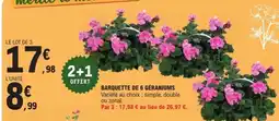 E.Leclerc BARQUETTE DE 6 GÉRANIUMS offre