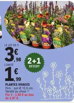 E.Leclerc Plantes Vivaces offre