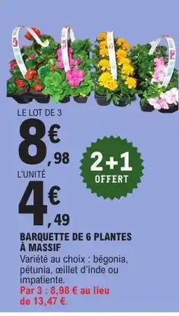 E.Leclerc BARQUETTE DE 6 PLANTES À MASSIF offre