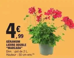 E.Leclerc GÉRANIUM LIERRE DOUBLE “MARCADA” offre