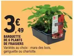 E.Leclerc BARQUETTE DE 6 PLANTS DE FRAISIERS offre