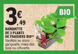 E.Leclerc BARQUETTE DE 3 PLANTS DE FRAISIERS BIO offre