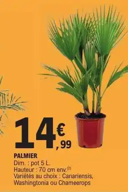 E.Leclerc Palmier offre