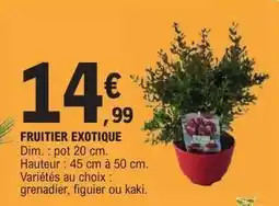 E.Leclerc FRUITIER EXOTIQUE offre