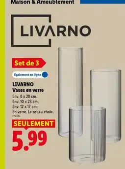 Lidl LIVARNO Vases en verre offre