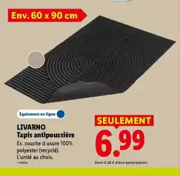 Lidl LIVARNO Tapis antipoussière offre