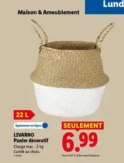 Lidl LIVARNO Panier décoratif offre