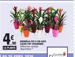 E.Leclerc Bromélia pot avec cache-pot céramique offre
