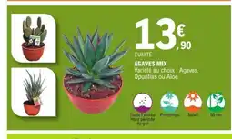 E.Leclerc Agaves mix offre