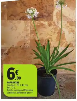 E.Leclerc Agapanthe offre