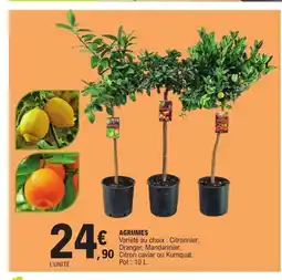 E.Leclerc Agrumes offre