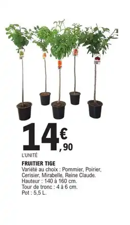 E.Leclerc Fruitier tige offre