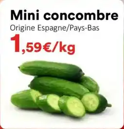 Hmarket Mini concombre offre