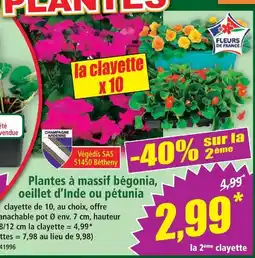 Norma Plantes à massif bégonia, oeillet d’inde ou pétunia offre
