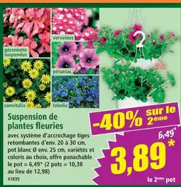 Norma Suspension de plantes fleuries offre