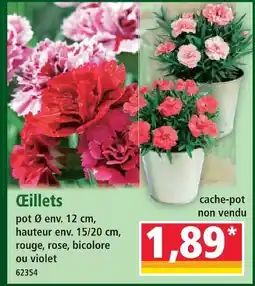 Norma Œillets rouge offre