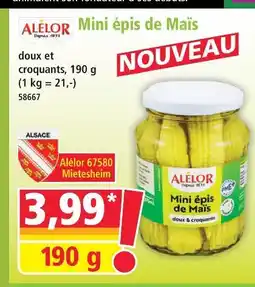Norma Alélor mini épis de maïs offre
