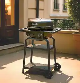 Gamm vert Barbecue hybride patio bistrot e2 coal black offre