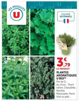 Super U U plantes aromatiques bio offre