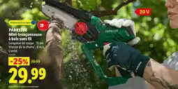 Lidl Parkside mini-tronçonneuse à bois sans fil offre