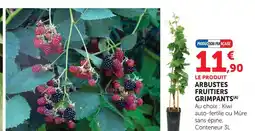 Super U Arbuste fruitiers grimpants offre