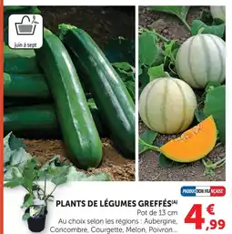 Super U Plants de légumes greffés offre