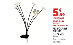 Super U Pic solaire fleurs ht 75 cm offre