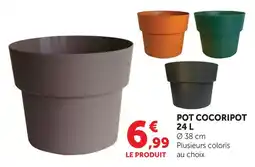 Super U Pot cocoripot offre