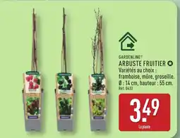 ALDI GARDENLINE Arbuste fruitier offre