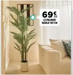 Centrakor Le palmier merlo offre