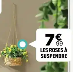 Centrakor Les roses à suspendre offre
