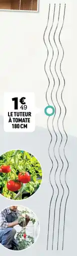 Centrakor Le tuteur à tomate offre