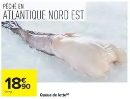 Carrefour Market Queue de lotte offre