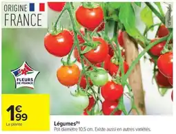 Carrefour Market Légumes offre