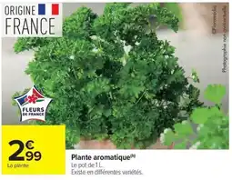 Carrefour Market Plante aromatique offre