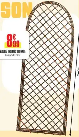 L'incroyable Arche treillis murale offre