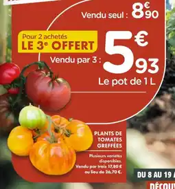 Point Vert Plants de tomates greffées offre